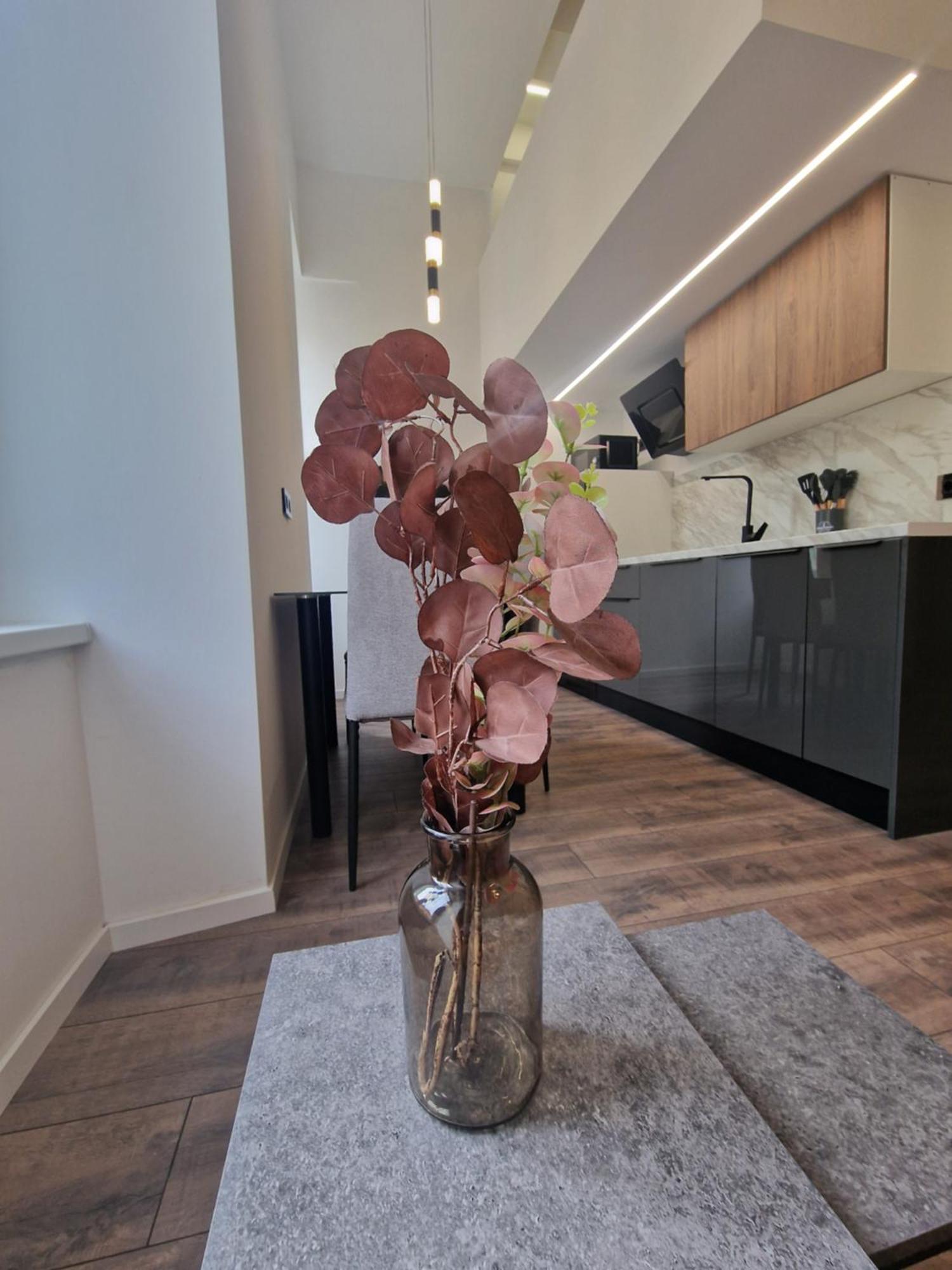 Veneziana Apartments Rijeka Luaran gambar